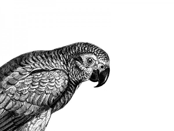 <span>Le Repaire des Couturières</span><i>→</i>